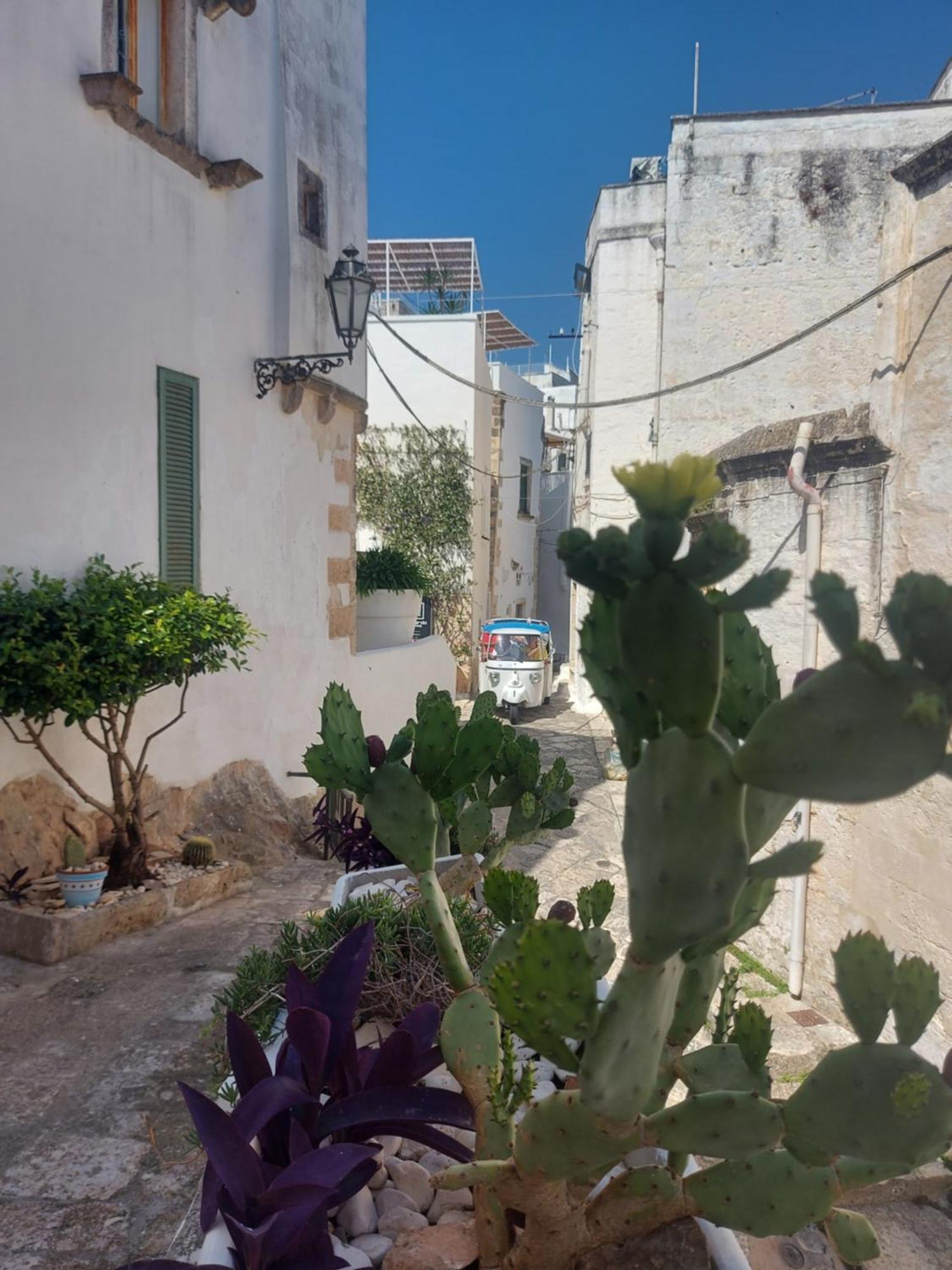 Apartmán Antica Dimora Flale Ostuni Exteriér fotografie